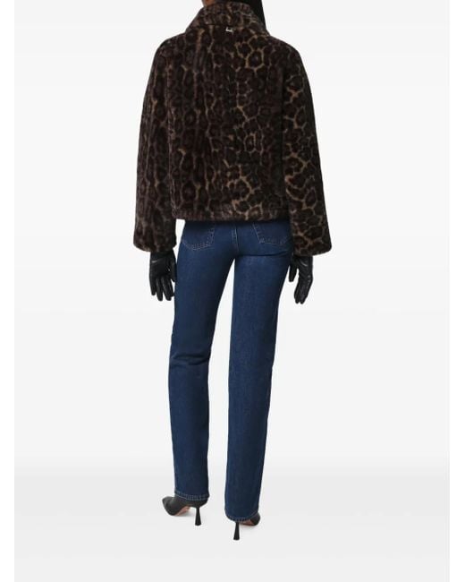 Apparis Brown Elis Leopard-Print Jacket