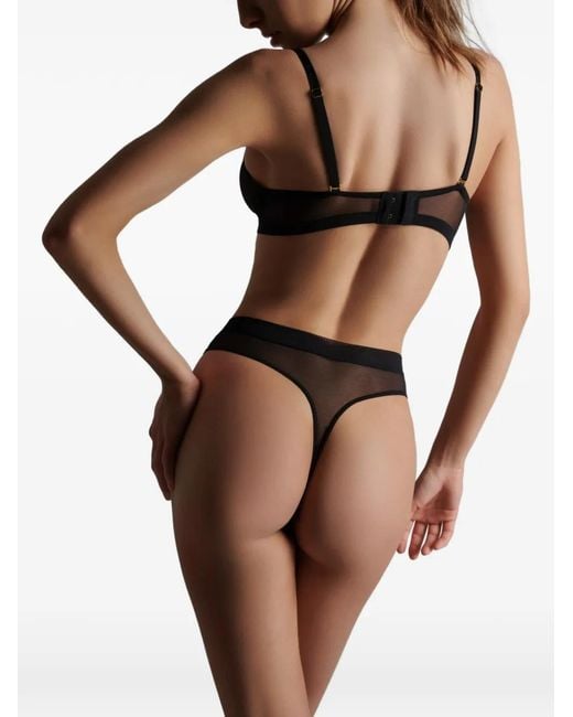 Maison Close Gray Corps À Corps Thong