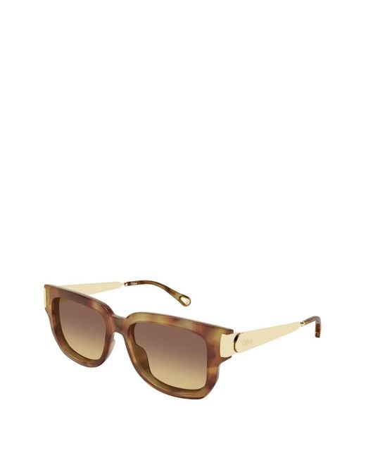 Chloé Brown Square-Frame Sunglasses
