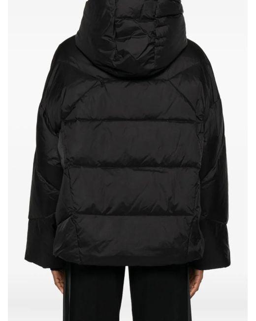 Piumino Trapuntato Con Cappuccio di Twinset in Black