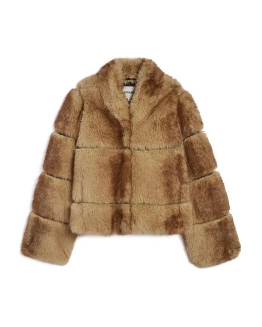 Apparis Brown Sai Panelled Jacket