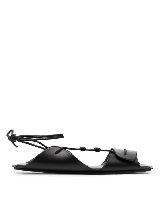 lemaire flats