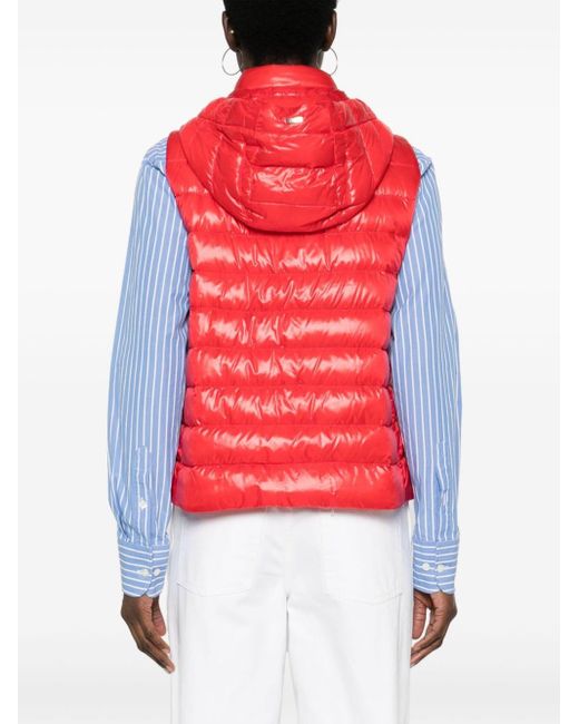 Herno Red Hooded Padded Gilet