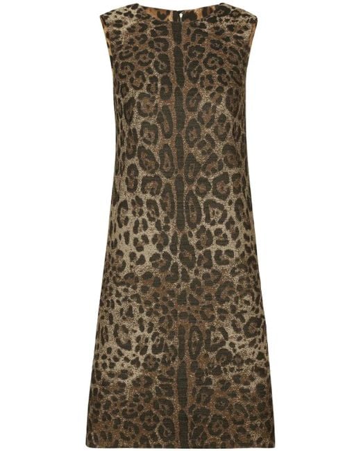Dolce & Gabbana Brown Leopard Print Wool Mini Dress