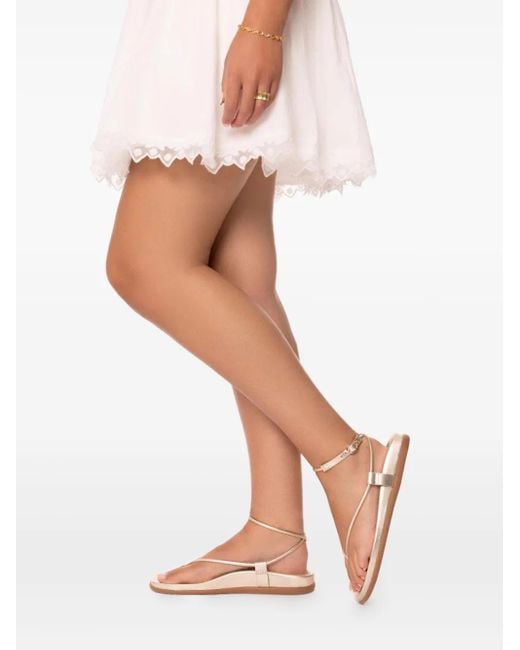 Ancient Greek Sandals White Polistra Buckled Flat Sandals