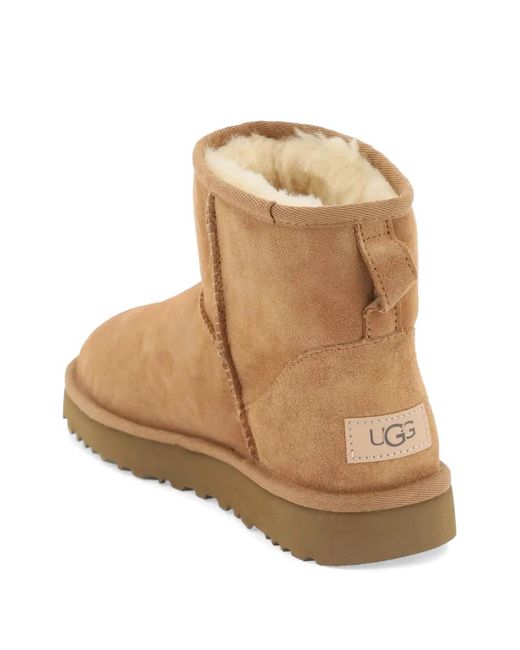 Ugg Brown Bottes Classic
