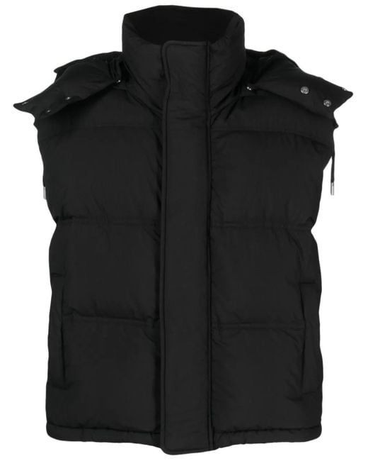 Gilet Imbottito Con Cappuccio di AMI in Black