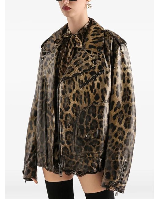 Dolce & Gabbana Brown Leo-Print Leather Jacket