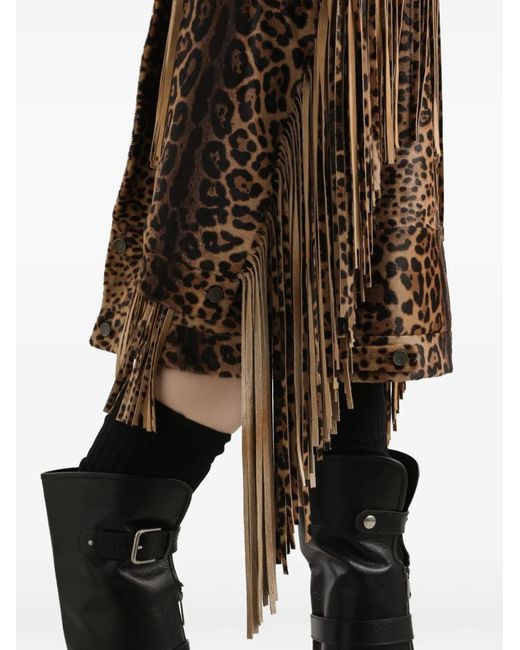 Dolce & Gabbana Brown Leopard-Print Fringe Coat