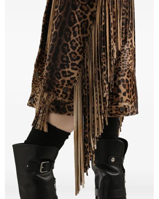 Dolce & Gabbana Brown Leopard-Print Fringe Coat