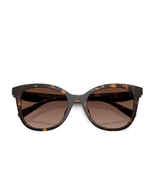 COACH Brown Logo-Plaque Sunglasses