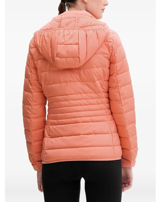 EA7 Red Veste Matelassée À Logo Imprimé