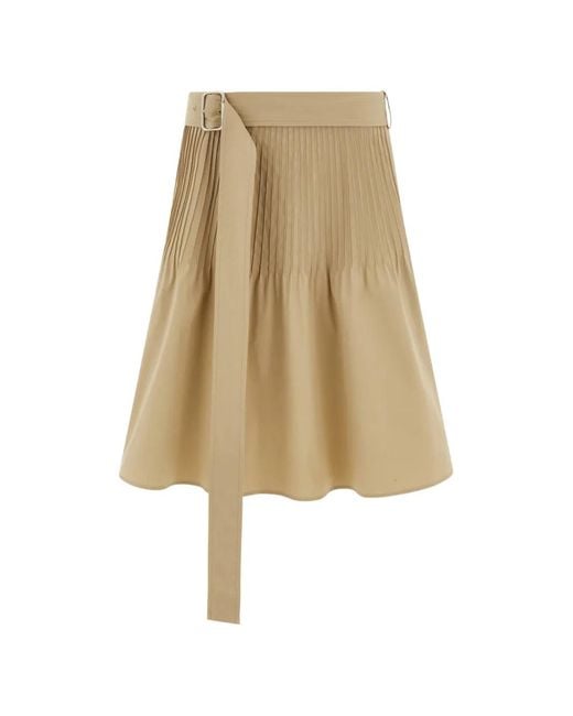 Ferragamo Natural Skirt With Micro Detail