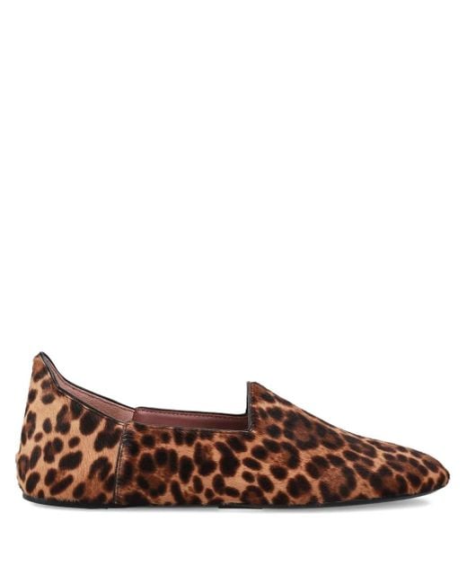 Premiata Brown Leopard-Print Ballet Flats
