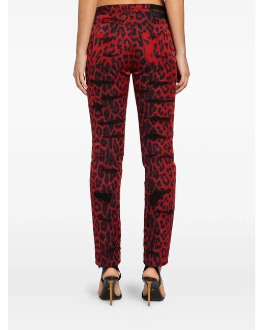 Roberto Cavalli Red Leopard-Print Distressed Jeans