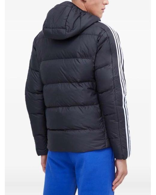 Adidas Blue Three-Stripe Padded Jacket for men