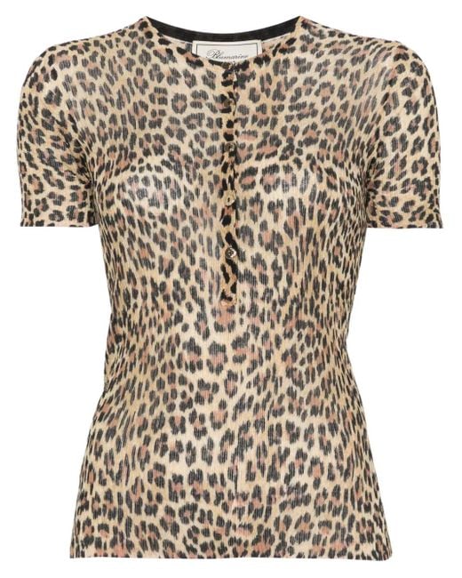 Blumarine レオパード Tシャツ Brown