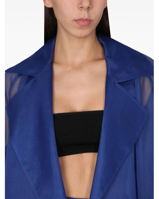 Max Mara Blue Sheer Top