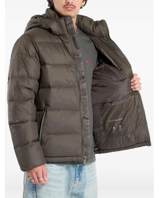 Calvin Klein Gray Hooded Zip-Up Jacket for men