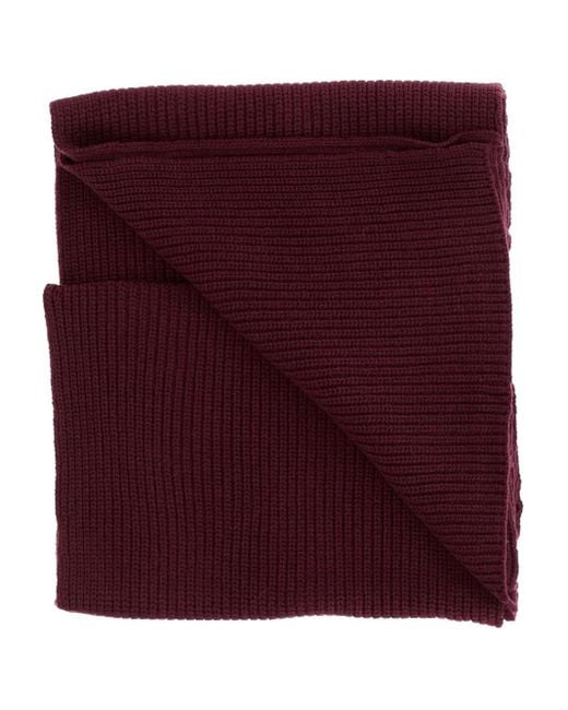Pinko Purple Scarfs