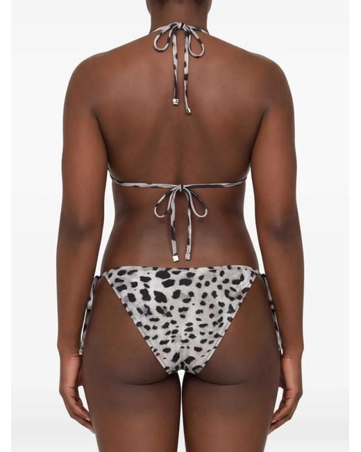 Dolce & Gabbana White Leopard-Print Bikini