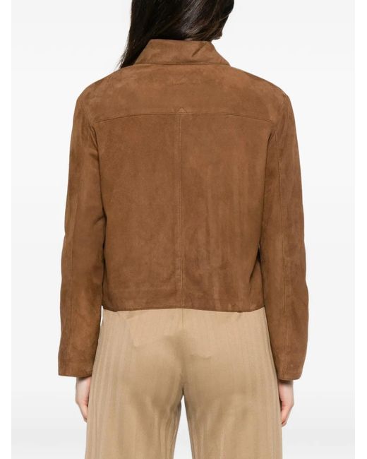 Tagliatore Brown Valerie Suede Jacket