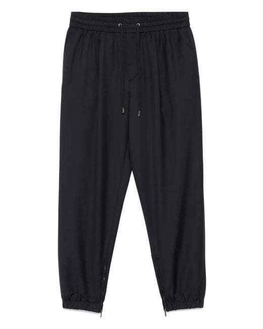Peserico Hose Mit Tapered-Bein in Blue für Herren