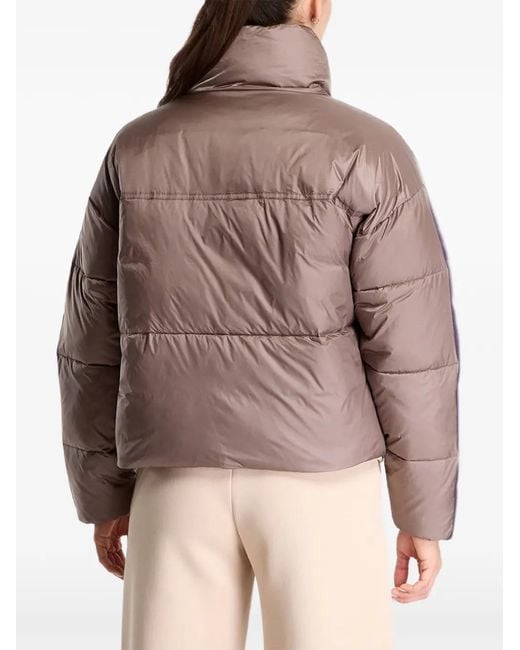 EA7 Brown Natural Ventus7 Padded Bomber Jacket
