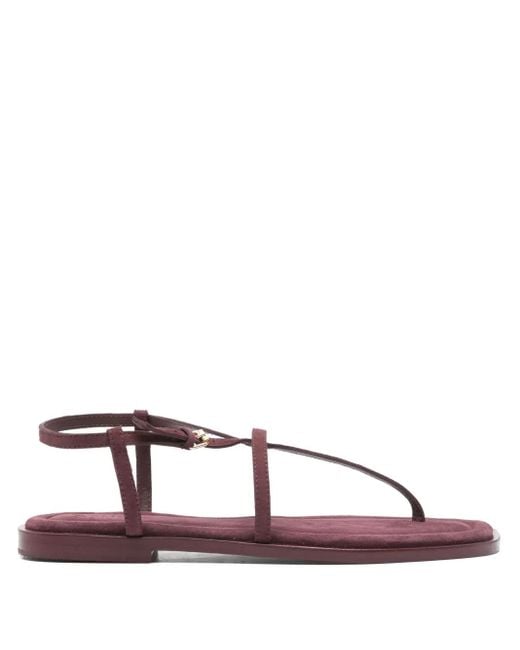 A.Emery Brown Remly Flat Sandals