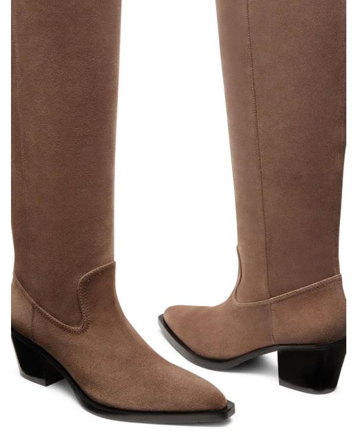Stuart Weitzman Brown Tate Knee-High Boots