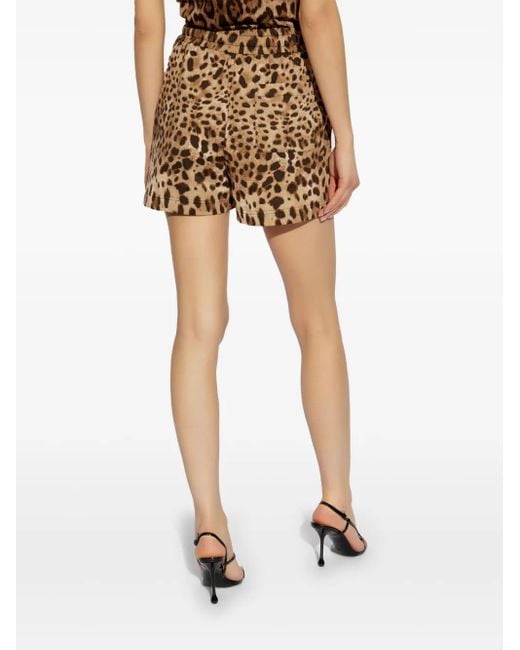 Dolce & Gabbana Brown Short Shorts