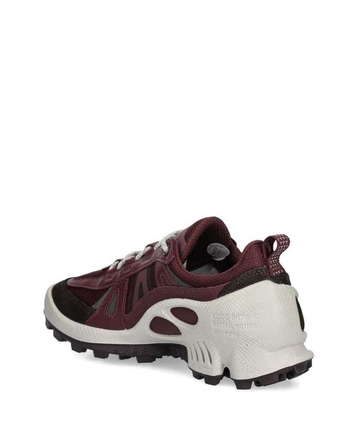 Ecco Brown Biom C-Trail Sneakers