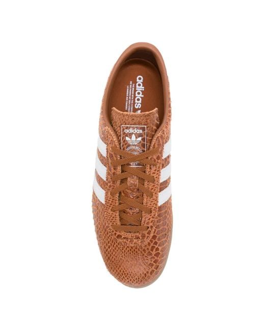 Adidas Brown Gazelle Lo Pro Sneakers for men