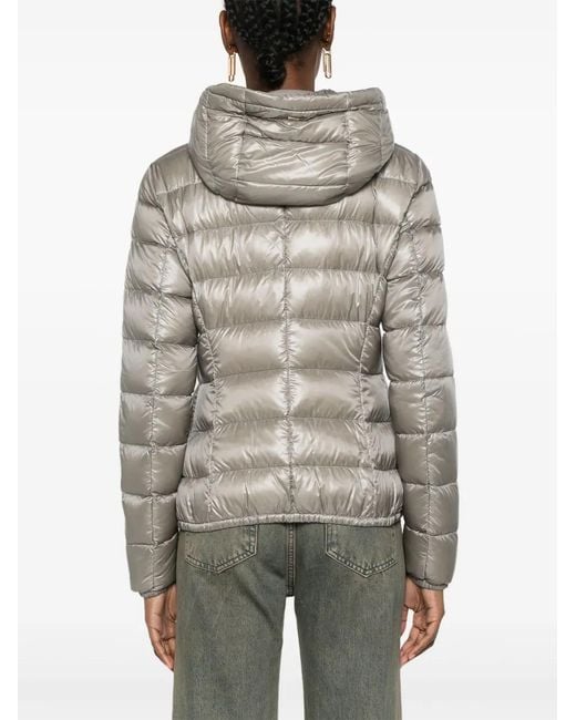 Herno Donsjack Met Capuchon in het Gray