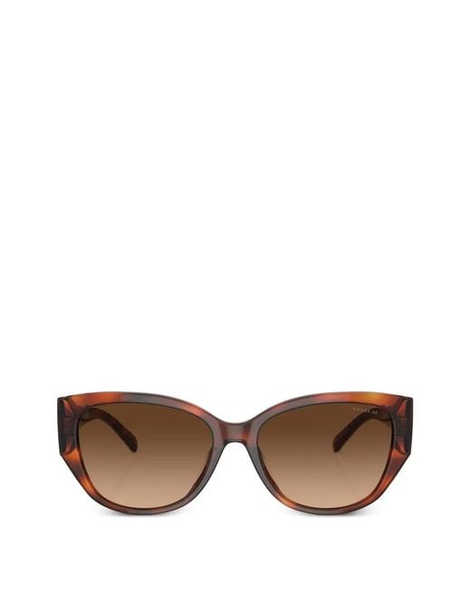 COACH Brown D-Frame Tortoiseshell-Effect Sunglasses