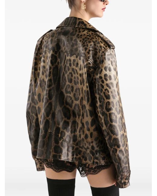 Dolce & Gabbana Brown Leo-Print Leather Jacket