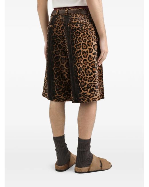 Pantalones con estampado de leopardo Dolce & Gabbana de hombre de color Brown