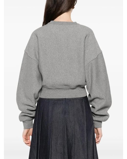 Agolde Gray Cropped Sweatshirt