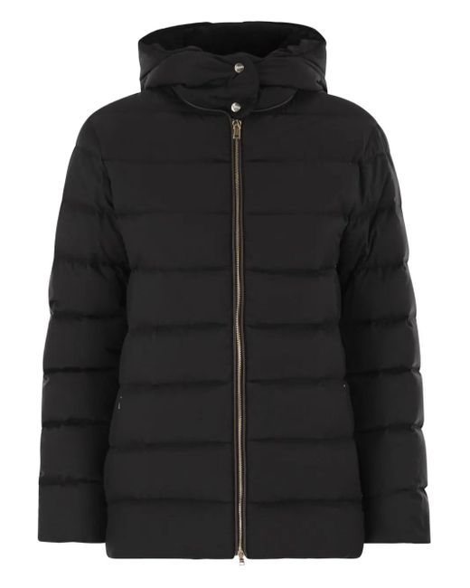 Herno Donsjack Met Capuchon in het Black