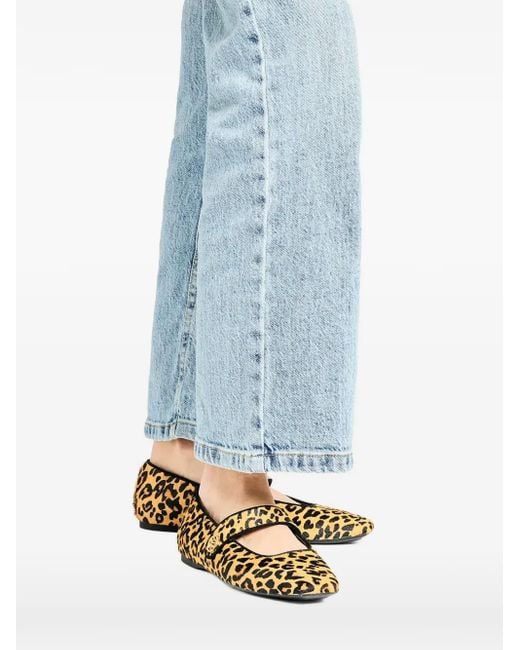 Bailarinas con estampado de leopardo Karl Lagerfeld de color Brown