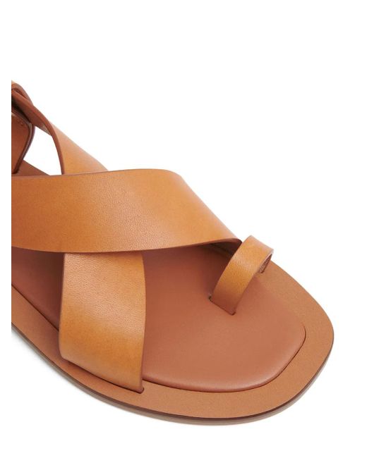 Mansur Gavriel Brown Leather Flat Sandals
