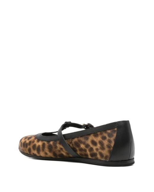 Ancient Greek Sandals Aerati Leopard-Print Ballet Flats in Brown | Lyst