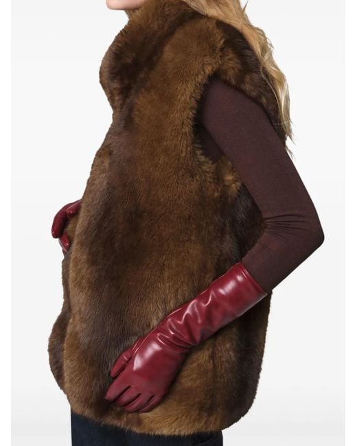 Chaleco Laila Apparis de color Brown