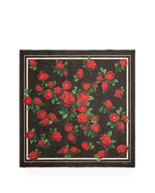 Dolce & Gabbana Red Rose-Print Cotton Stole