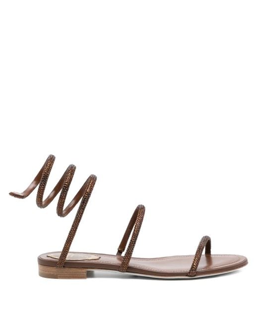 Rene Caovilla Brown Cleo Sandals