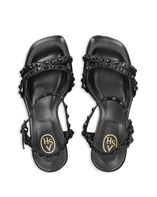 Ash Black Jodybis 65mm Studded Sandals