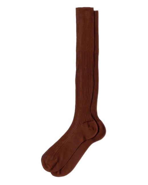 メンズ Prada リブニット 靴下 Brown