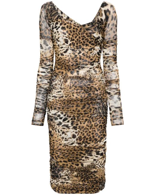 Roberto Cavalli Natural Leopard-print Mesh Midi Dress