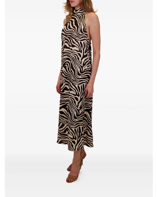 Azeeza White Meera Zebra-Pattern Halterneck Midi Dress