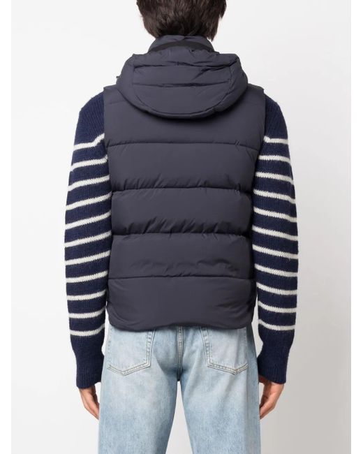 Moorer Gefütterte Weste Mit Stehkragen in Blue für Herren